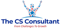 The CS Consultant